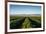 Vineyards in San Joaquin Valley, California, United States of America, North America-Yadid Levy-Framed Photographic Print