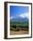 Vineyards in the Cape Winelands, Near Stellenbosch, Cape Province, South Africa, Africa-Fraser Hall-Framed Photographic Print