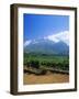 Vineyards in the Cape Winelands, Near Stellenbosch, Cape Province, South Africa, Africa-Fraser Hall-Framed Photographic Print