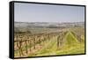 Vineyards in the Cognac Area of France, Charente Maritime, France, Europe-Julian Elliott-Framed Stretched Canvas