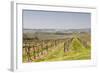 Vineyards in the Cognac Area of France, Charente Maritime, France, Europe-Julian Elliott-Framed Photographic Print