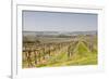 Vineyards in the Cognac Area of France, Charente Maritime, France, Europe-Julian Elliott-Framed Photographic Print