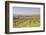 Vineyards in the Cognac Area of France, Charente Maritime, France, Europe-Julian Elliott-Framed Photographic Print