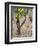 Vineyards in the Cote Rotie District, Ampuis, Rhone, France-Per Karlsson-Framed Premium Photographic Print