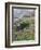 Vineyards in the Cote Rotie District, Ampuis, Rhone, France-Per Karlsson-Framed Photographic Print