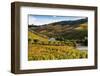 Vineyards in the Douro Valley, Portugal-Mark A Johnson-Framed Photographic Print