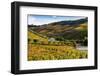 Vineyards in the Douro Valley, Portugal-Mark A Johnson-Framed Photographic Print