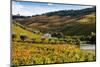 Vineyards in the Douro Valley, Portugal-Mark A Johnson-Mounted Photographic Print