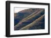 Vineyards in the Douro Valley, Portugal-Mark A Johnson-Framed Photographic Print