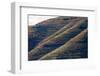 Vineyards in the Douro Valley, Portugal-Mark A Johnson-Framed Photographic Print