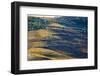 Vineyards in the Douro Valley, Portugal-Mark A Johnson-Framed Photographic Print