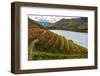 Vineyards in the Douro Valley, Portugal-Mark A Johnson-Framed Photographic Print