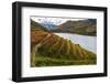 Vineyards in the Douro Valley, Portugal-Mark A Johnson-Framed Photographic Print