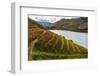 Vineyards in the Douro Valley, Portugal-Mark A Johnson-Framed Photographic Print