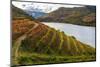 Vineyards in the Douro Valley, Portugal-Mark A Johnson-Mounted Photographic Print