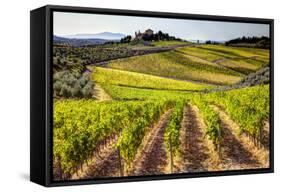 Vineyards in the Rolling Hills of Tuscany-Terry Eggers-Framed Stretched Canvas