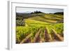 Vineyards in the Rolling Hills of Tuscany-Terry Eggers-Framed Photographic Print