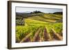 Vineyards in the Rolling Hills of Tuscany-Terry Eggers-Framed Photographic Print