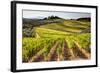 Vineyards in the Rolling Hills of Tuscany-Terry Eggers-Framed Photographic Print