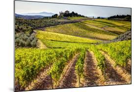 Vineyards in the Rolling Hills of Tuscany-Terry Eggers-Mounted Photographic Print