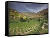 Vineyards in the White Mountains, Crete, Greece-Darrell Gulin-Framed Stretched Canvas
