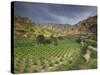 Vineyards in the White Mountains, Crete, Greece-Darrell Gulin-Stretched Canvas