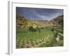 Vineyards in the White Mountains, Crete, Greece-Darrell Gulin-Framed Photographic Print