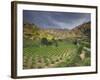 Vineyards in the White Mountains, Crete, Greece-Darrell Gulin-Framed Photographic Print