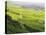 Vineyards, Kaysersberg, Alsace, France, Europe-Jochen Schlenker-Stretched Canvas