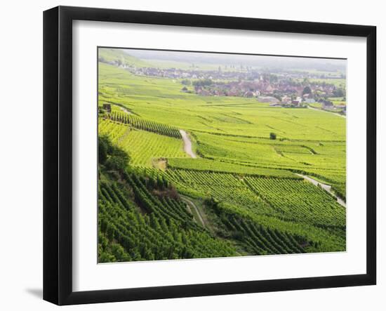 Vineyards, Kaysersberg, Alsace, France, Europe-Jochen Schlenker-Framed Photographic Print