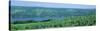 Vineyards, Keuka Lake, Finger Lakes, New York State, USA-null-Stretched Canvas