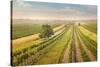 Vineyards Landscape in Burgenland, Austria-egal-Stretched Canvas