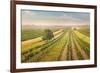 Vineyards Landscape in Burgenland, Austria-egal-Framed Photographic Print