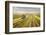 Vineyards Landscape in Burgenland, Austria-egal-Framed Photographic Print