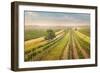 Vineyards Landscape in Burgenland, Austria-egal-Framed Photographic Print