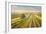 Vineyards Landscape in Burgenland, Austria-egal-Framed Photographic Print