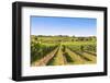 Vineyards Landscape in Wachau, Austria-egal-Framed Photographic Print