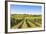 Vineyards Landscape in Wachau, Austria-egal-Framed Photographic Print