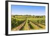 Vineyards Landscape in Wachau, Austria-egal-Framed Photographic Print