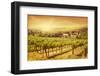 Vineyards Landscape-egal-Framed Photographic Print