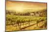 Vineyards Landscape-egal-Mounted Photographic Print