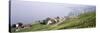 Vineyards, Lausanne, Lake Geneva, Switzerland-null-Stretched Canvas