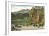 Vineyards, Los Olivos-null-Framed Art Print