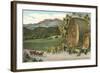 Vineyards, Los Olivos-null-Framed Art Print