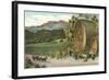 Vineyards, Los Olivos-null-Framed Art Print