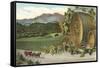 Vineyards, Los Olivos-null-Framed Stretched Canvas