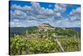 Vineyards, Motovun, Istria, Croatia-Katja Kreder-Stretched Canvas