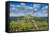 Vineyards, Motovun, Istria, Croatia-Katja Kreder-Framed Stretched Canvas