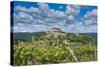 Vineyards, Motovun, Istria, Croatia-Katja Kreder-Stretched Canvas