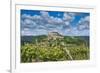 Vineyards, Motovun, Istria, Croatia-Katja Kreder-Framed Photographic Print